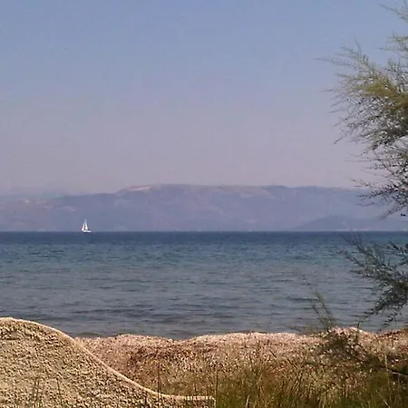 Virginia's Beachfront Kavos