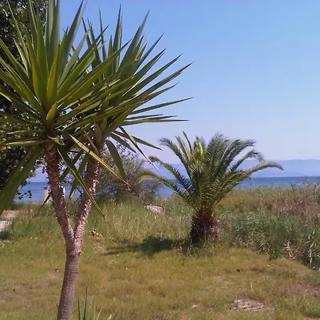 Virginia's Beachfront