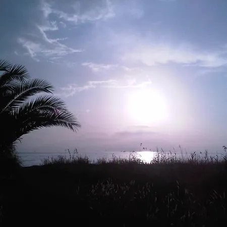 Virginia's Beachfront Kavos